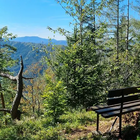 לינה וארוחת בוקר Paula's