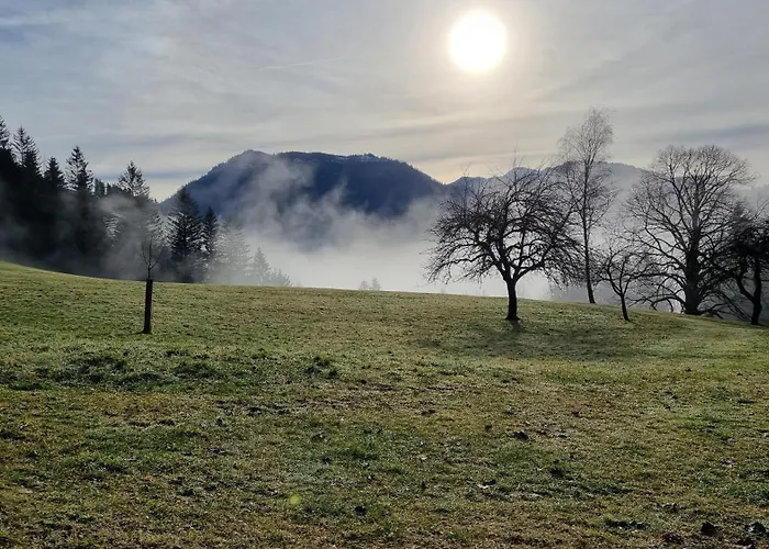 Paula's Bed & Breakfast